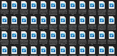 bunkr file.
